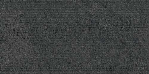 DSAU 04