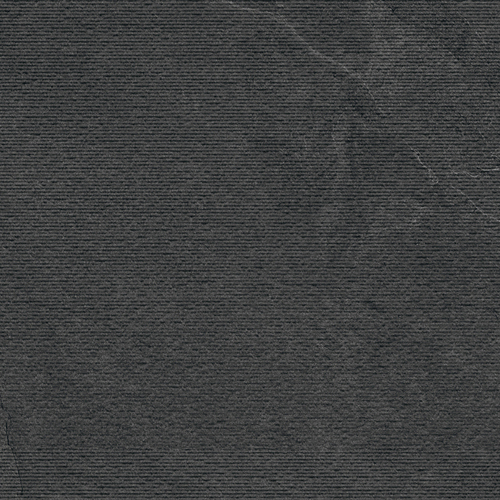 DSAU 04