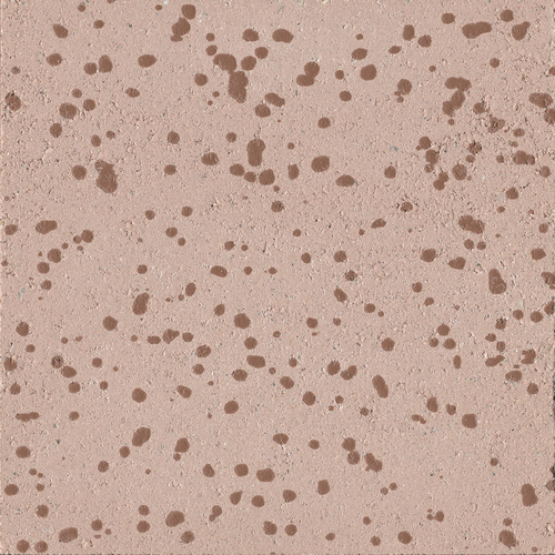 DRASB 05 Bolle