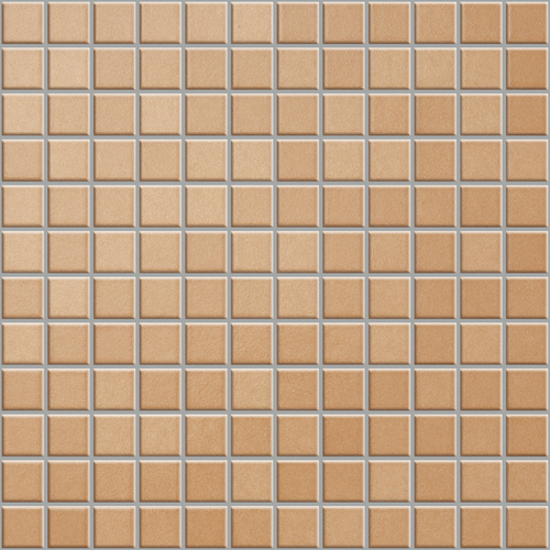ANT 08 Mosaic