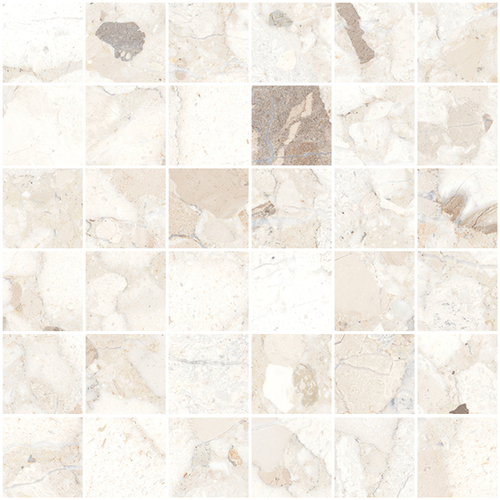 DSAV 02 Mosaic