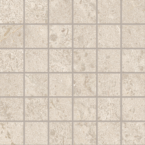 DEMT 02 Mosaic
