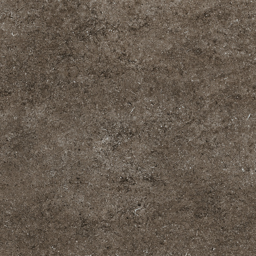 DCSNF 05 Fossil