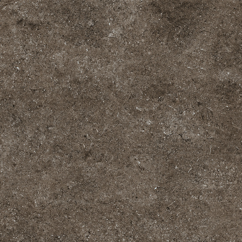 DCSNF 05 Fossil