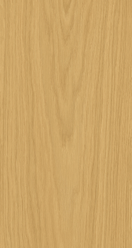 ELPE 484
