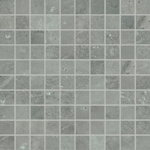 DCPM 05 Mosaic