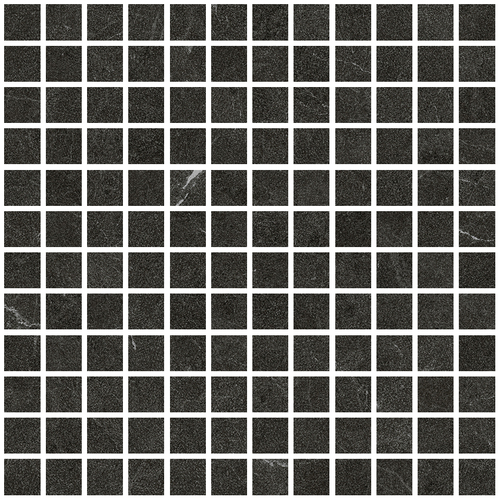 DLVN 04 Mosaic