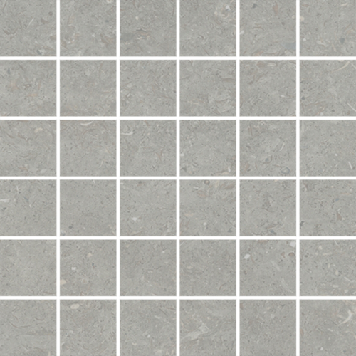 DLBF 05 Mosaic