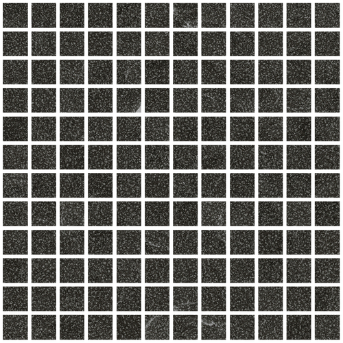 DLVN 04 Mosaic