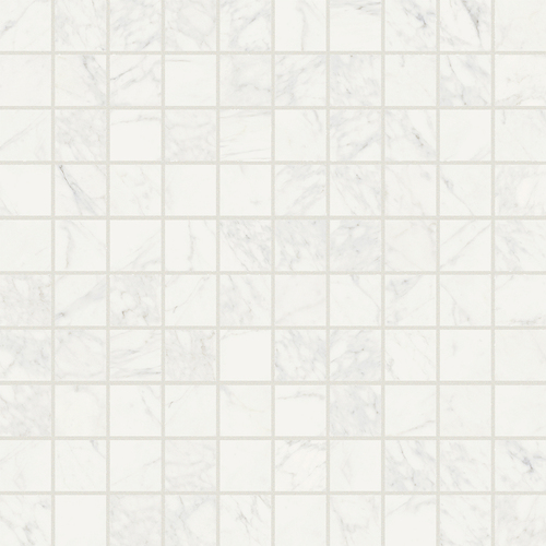 DFSN 01 Mosaic