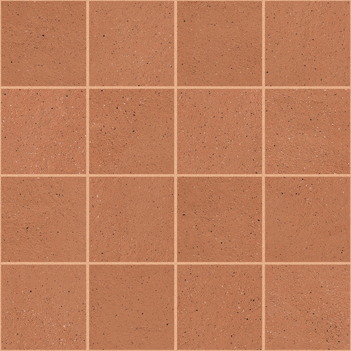DMAG 207 Mosaic
