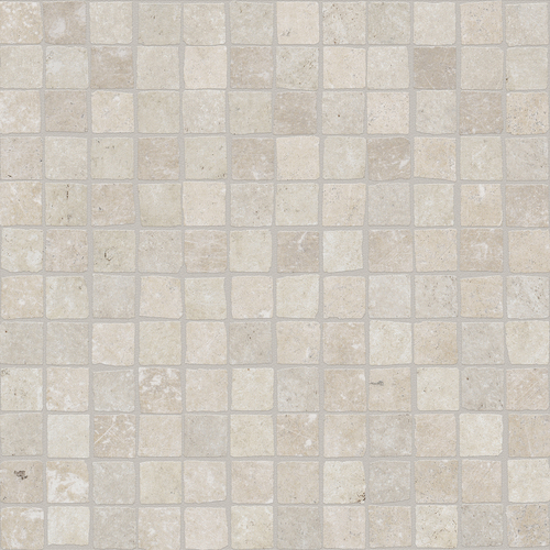 DSLE 01 Mosaic