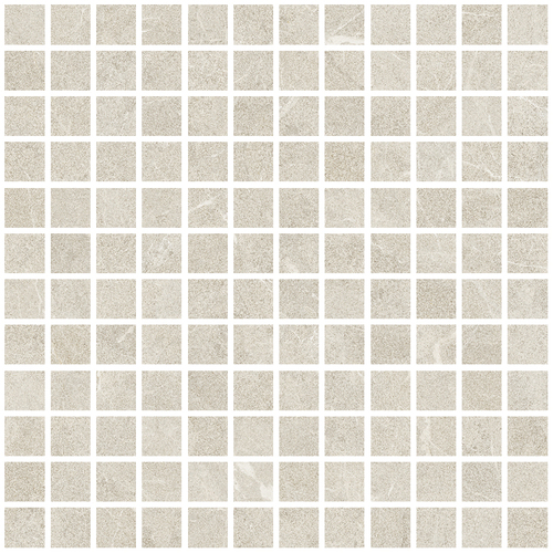 DLVN 01 Mosaic