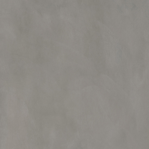 DMAG 261