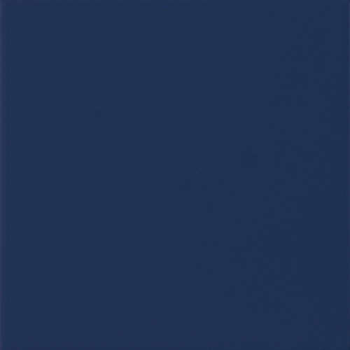 DMSC 24