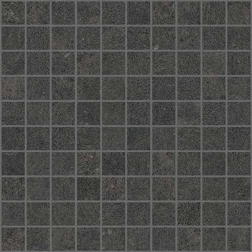 DCMU 05 Mosaic