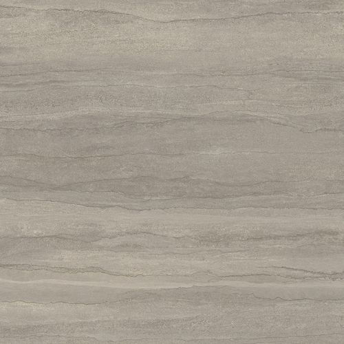 DGSI 08 Vein