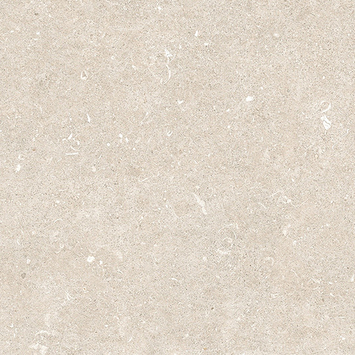 DMAG 303