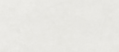 DLFSS 01