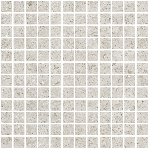 DLBF 02 Mosaic