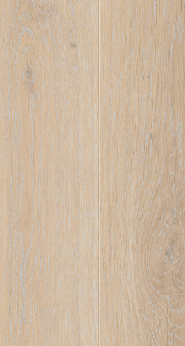 EVPE 537