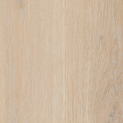 EVPE 537
