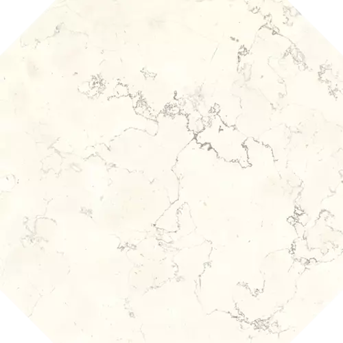 DMCS 02 Octagon