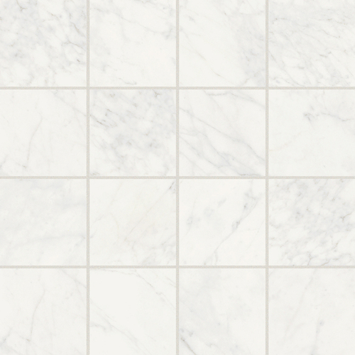 DMAG 88 Mosaic