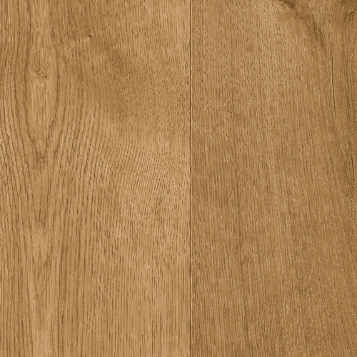 EVPE 525