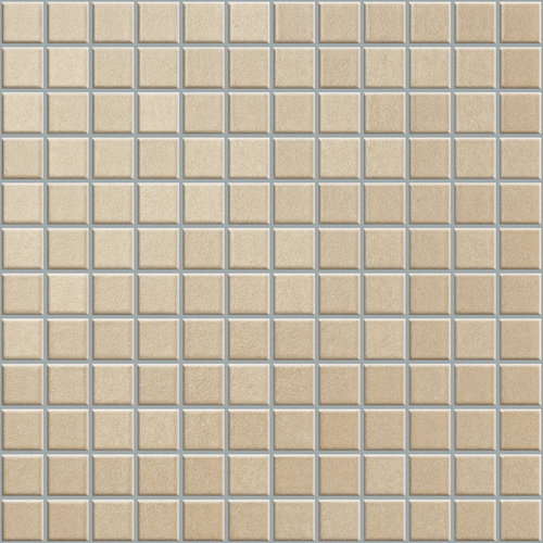 ANT 07 Mosaic