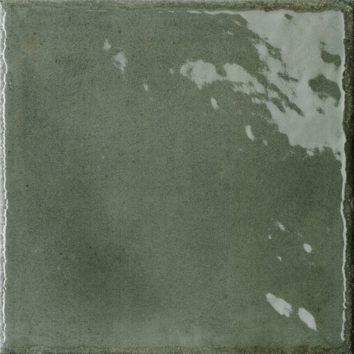 DFMS 06