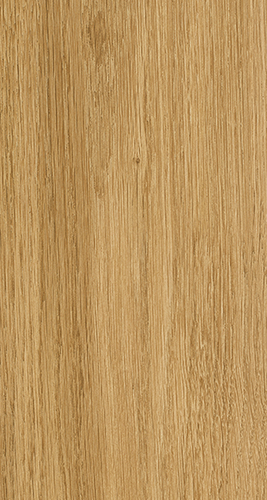 ELPE 383