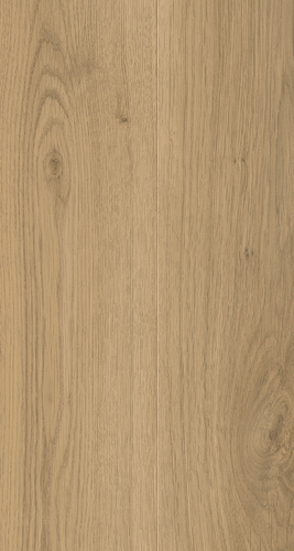 EVPE 520