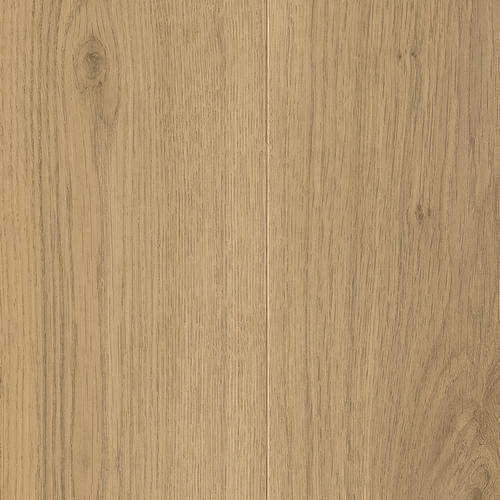 EVPE 520