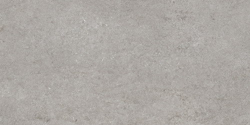 DMAG 183 Fossil