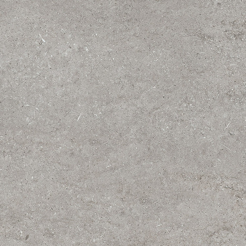 DMAG 183 Fossil