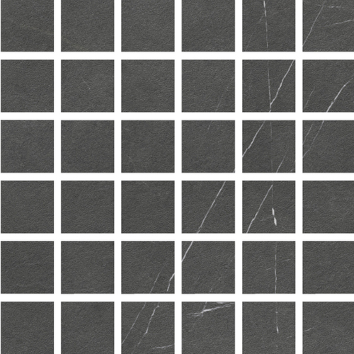 DLRE 04 Mosaic