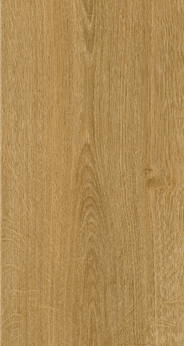 ELPE 485