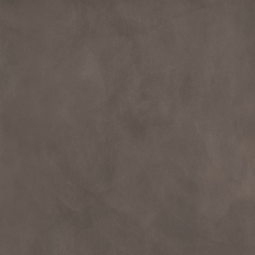 DMAG 259