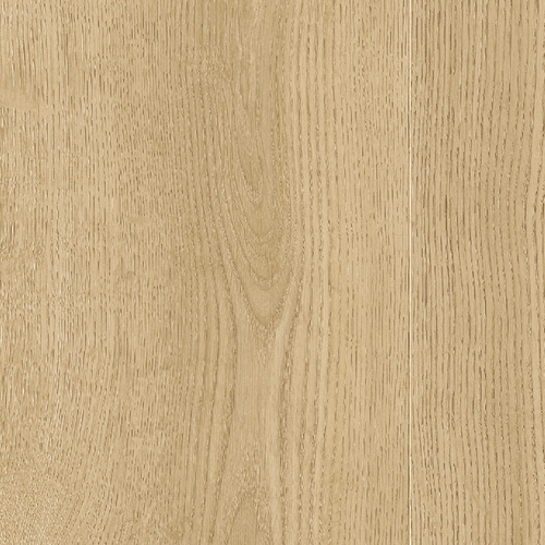 EVPE 429