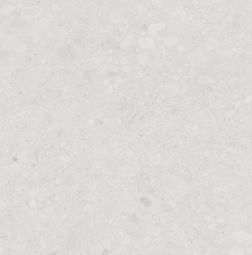 DAFN 06