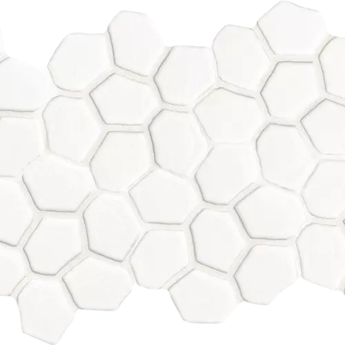 DMBA 02 Seed
