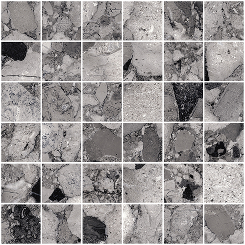 DSAV 05 Mosaic