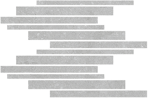 DLON 02 Muretto Mosaic