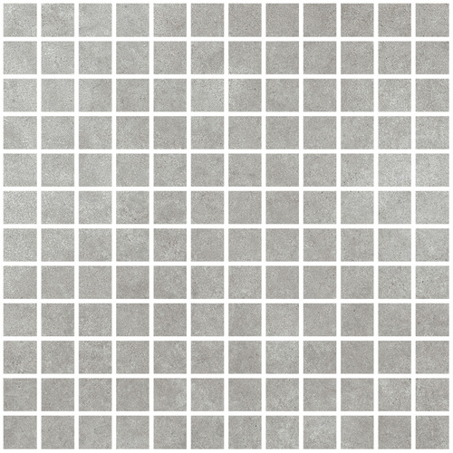 DLFS 02 Mosaic