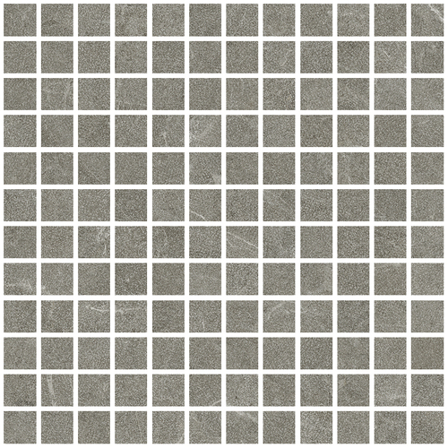 DLVN 03 Mosaic