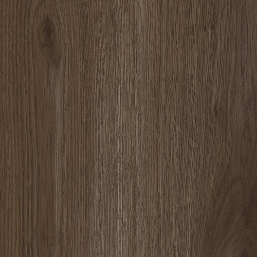EVPE 522