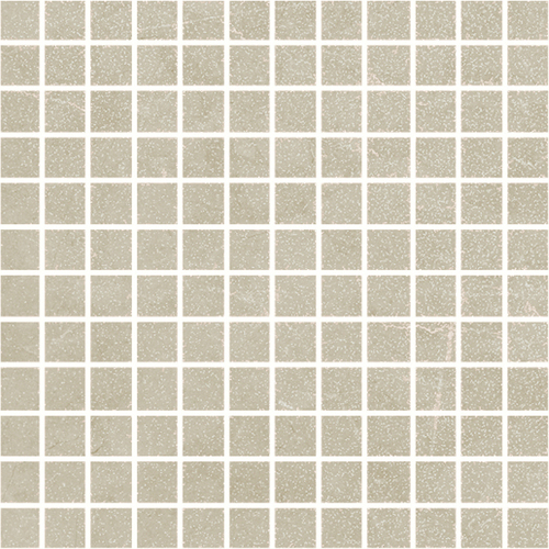 DLRE 05 Mosaic