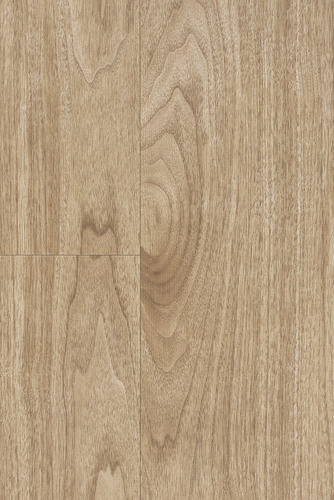 EVLX 103-55