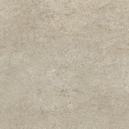 DCSNF 02 Fossil